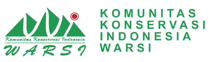 Warsi